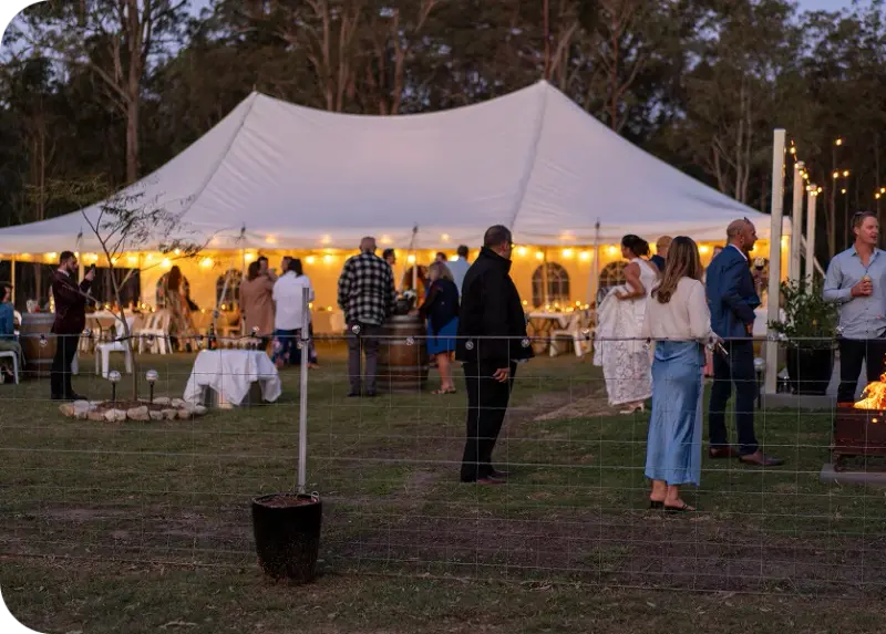 Wedding guests mingling outside a glowing peg-and-pole marquee at dusk with gum trees behind