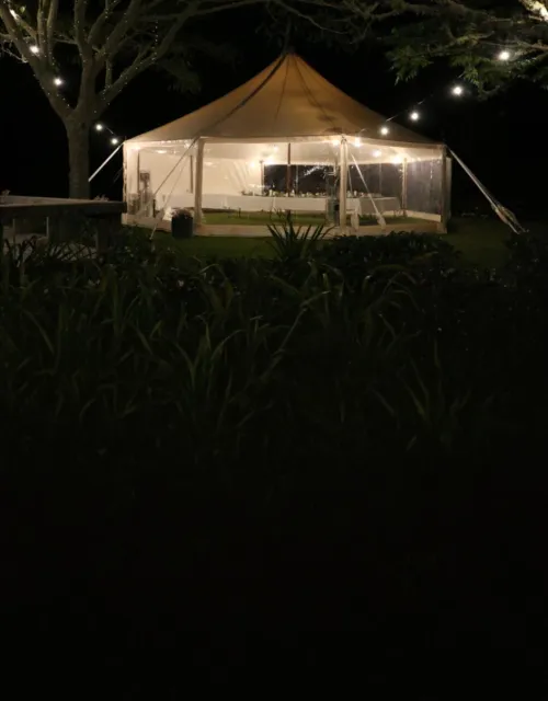 Pole marquee lit at night beside a large tree
